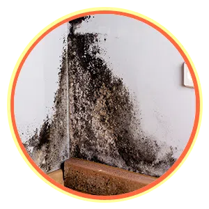 Expert Miami Restoration, Miami, FL 786-314-7307 Expert Miami Restoration, Miami, FL 786-314-7307 - sb-ser-03