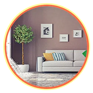 Expert Miami Restoration, Miami, FL 786-314-7307 Expert Miami Restoration, Miami, FL 786-314-7307 - sb-ser-04